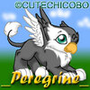 Peregrine, the Eyrie