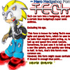 Tech : Hero Hedgehog Form Summary