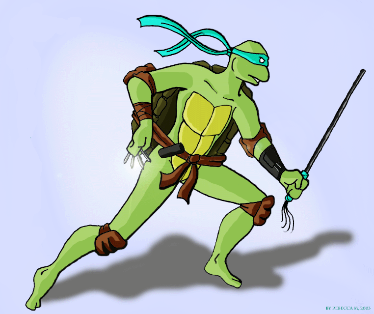 My Ninja Turtle character, Cara!