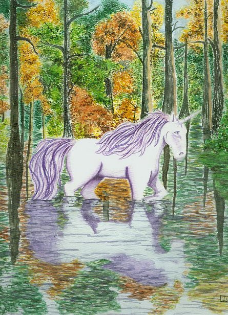 Unicorn Wading