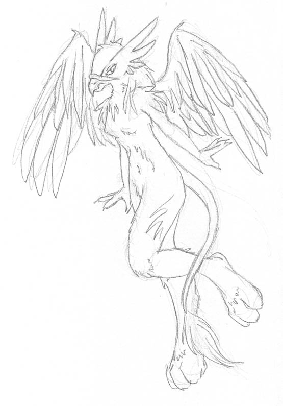 Hawk Gryphon woman