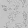 More fox doodles