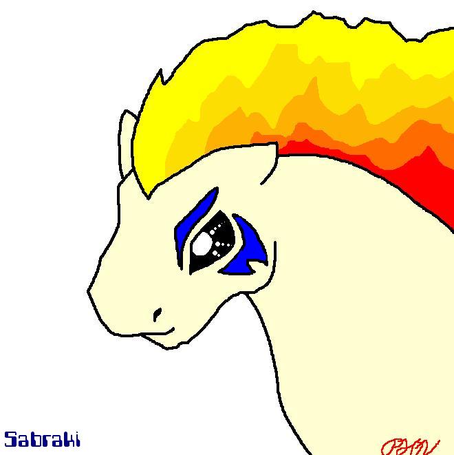 Sabrika my ponyta