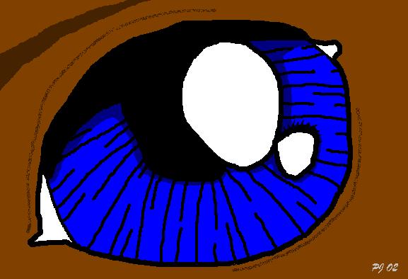 eye