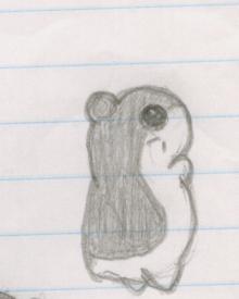 hamster thingy