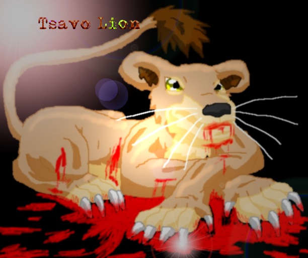 A Tsavo Lion after a meal....