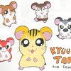 Kyuu-Taro and Friends!