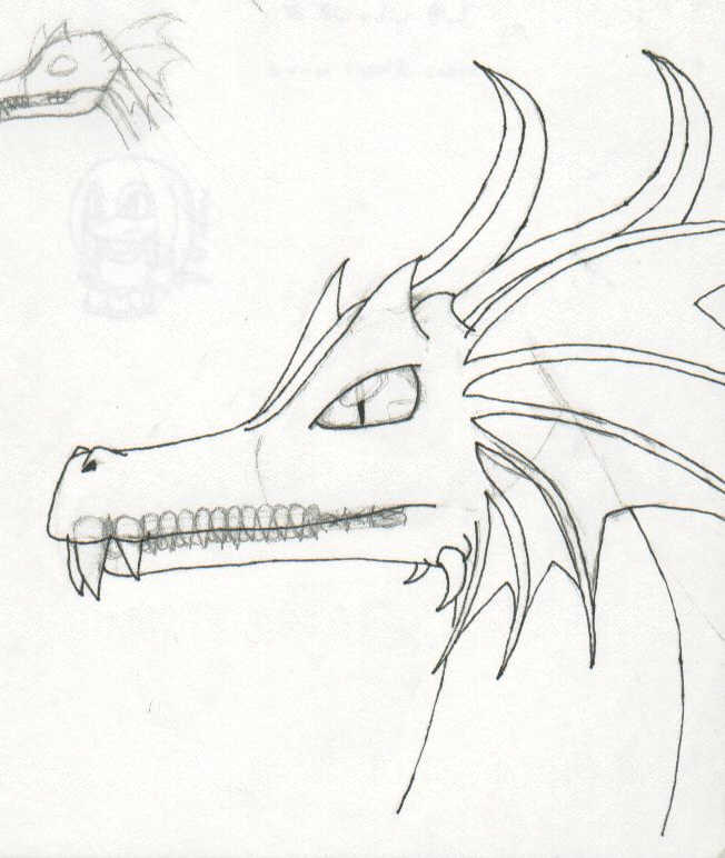 Dragon form redesign