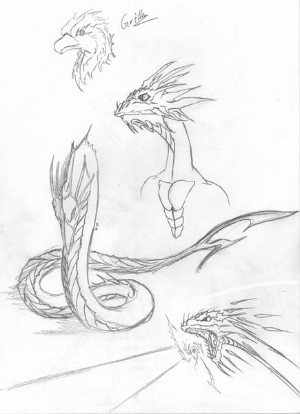 Some Dragons' thingy