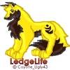 LedgeLife