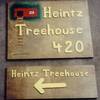 Heintz Treehouse