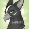 HawkTear the Eyrie