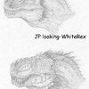 WhiteRex head profiles...