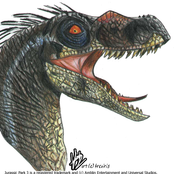 JP3 Velociraptor
