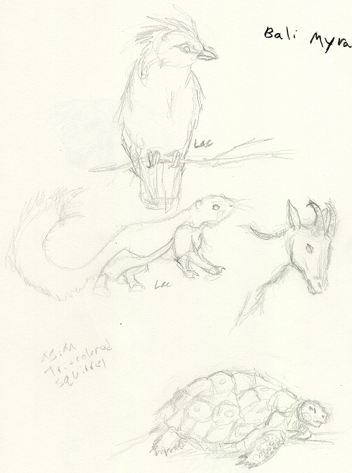 Sketches from da zoo! (Part Two)
