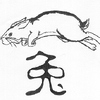 Chinese Zodiac: Rabbit