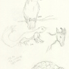 Sketches from da zoo! (Part Two)