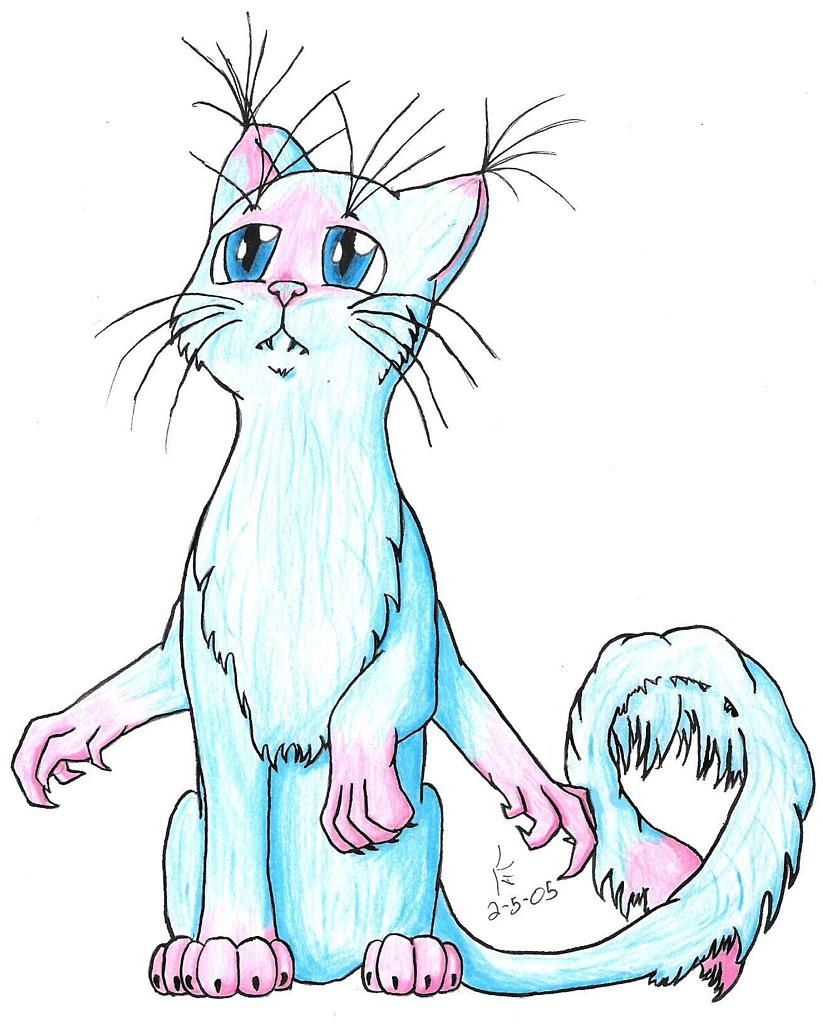 Colored Kittle