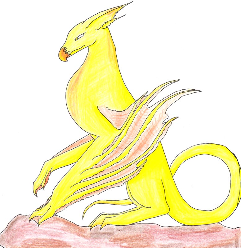 Yellow Dragon