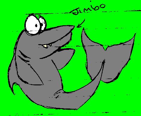 Meet Jimbo, my shark