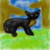 Black Cat