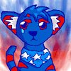 USA Kougra