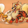 Male and Female Arcanine Courtship