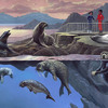 Oceanarium Sea Mammals Spread