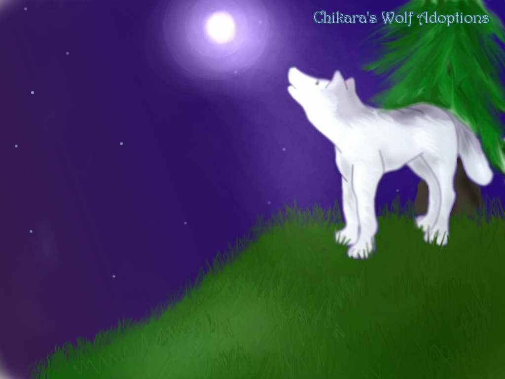 Wolf background