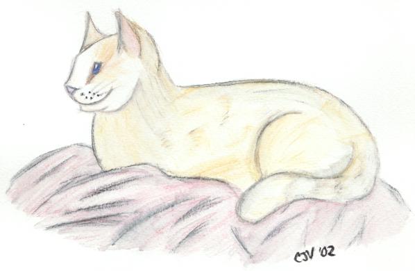 WaterColor Kitty